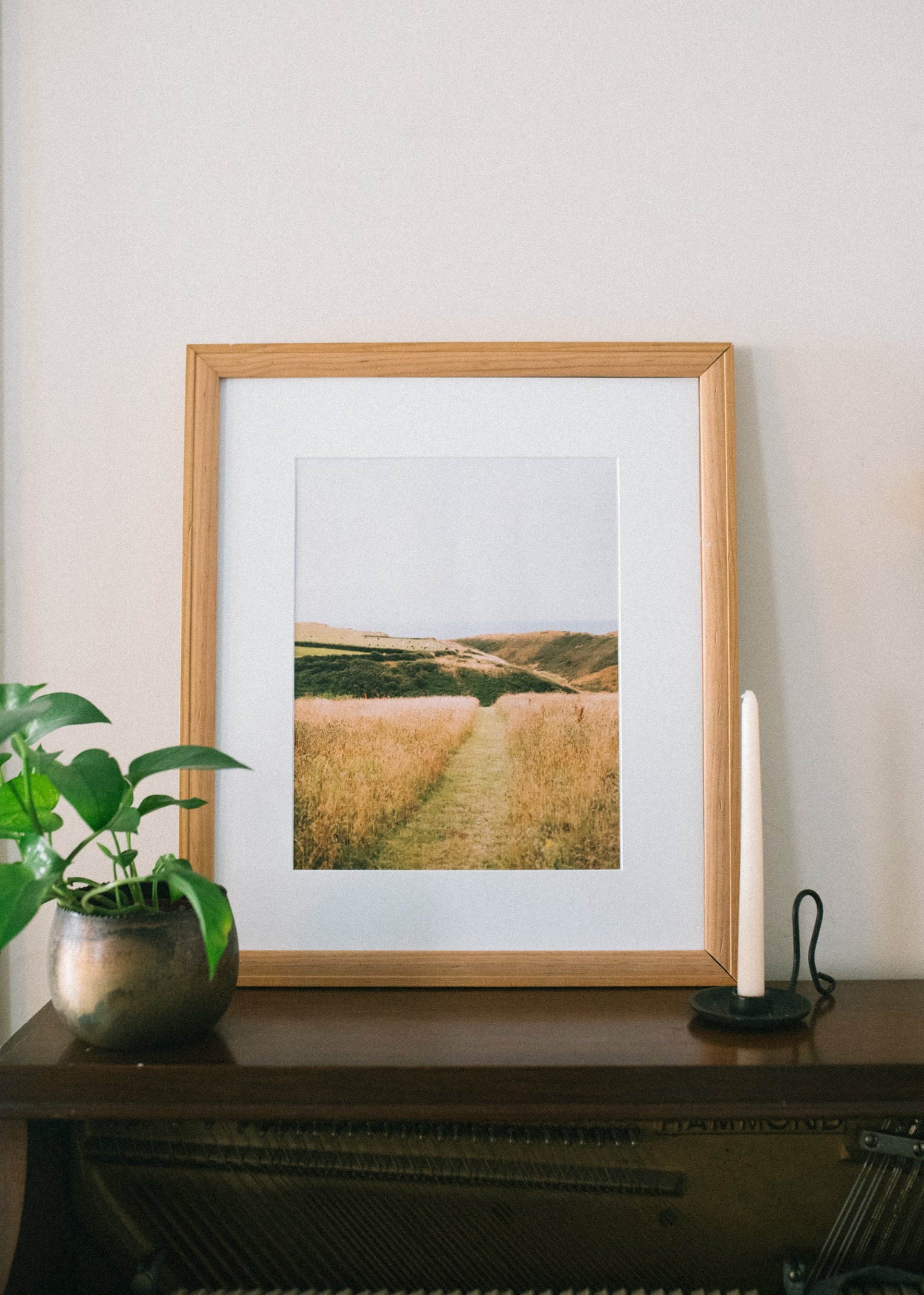 Pastures - Dorset, UK