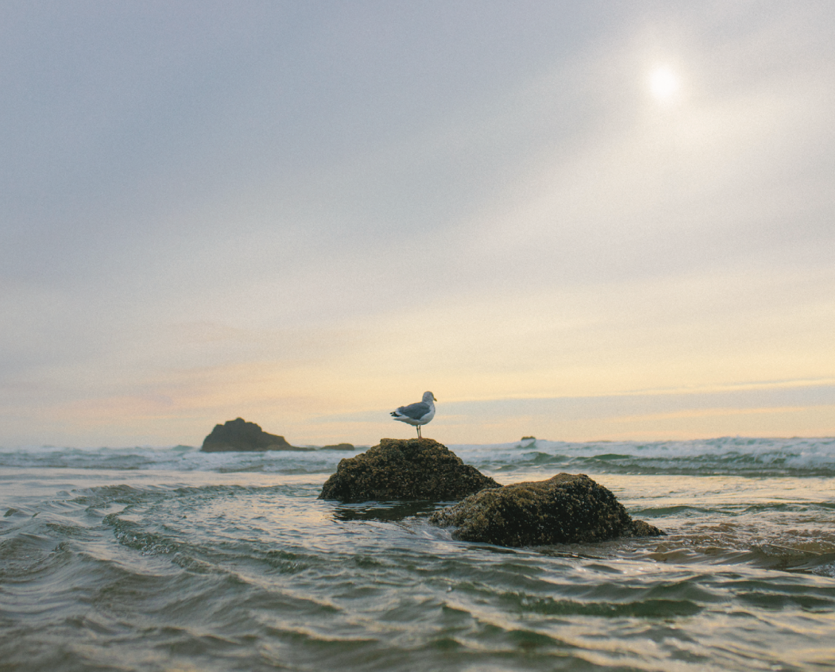 Pacific - Oregon, USA