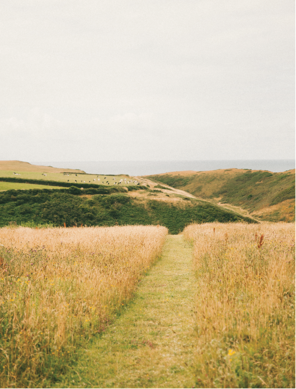 Pastures - Dorset, UK