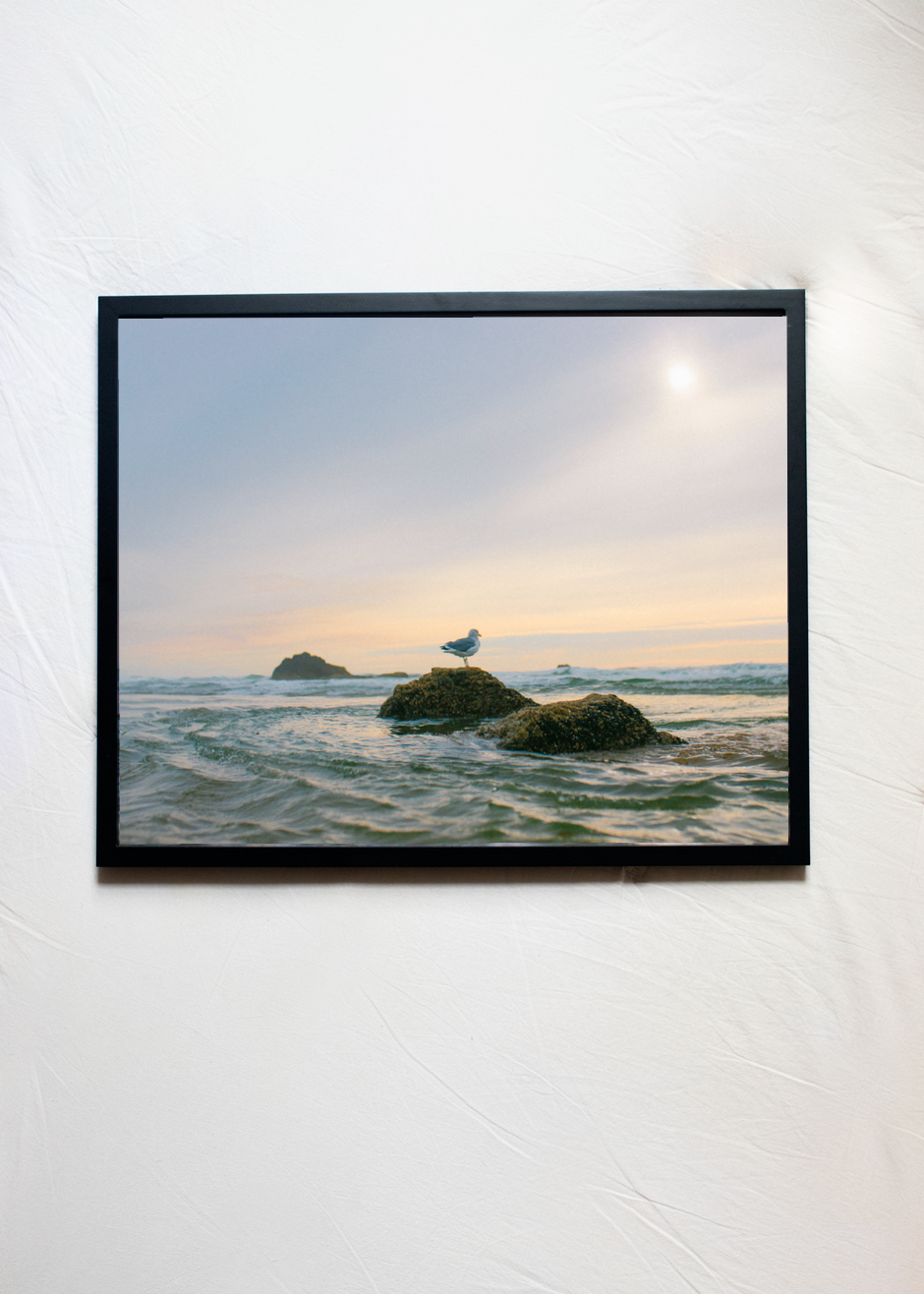 Pacific - Oregon, USA